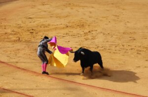 plaza de toros de pamplona