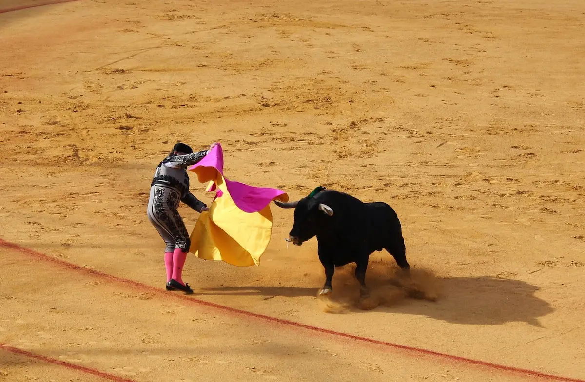 plaza de toros de pamplona
