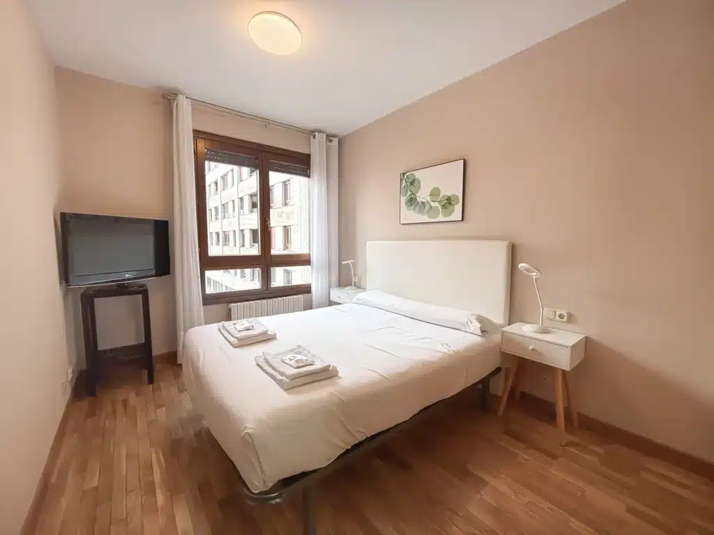 Double bedroom in a 1-bedroom apartment in Pamplona
